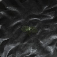 sten 岩石肌理圓盤
